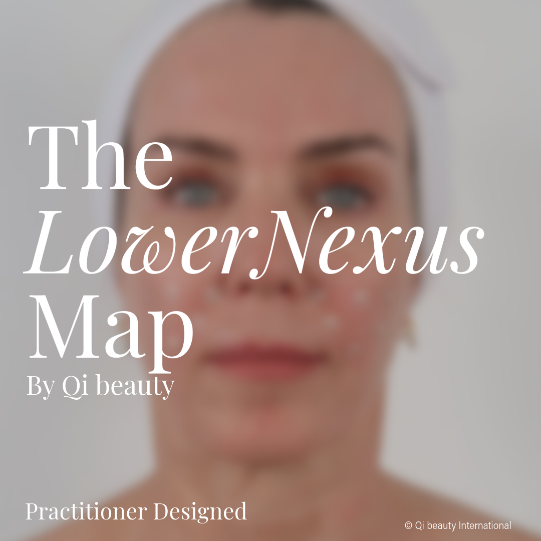 The LowerNexus Map