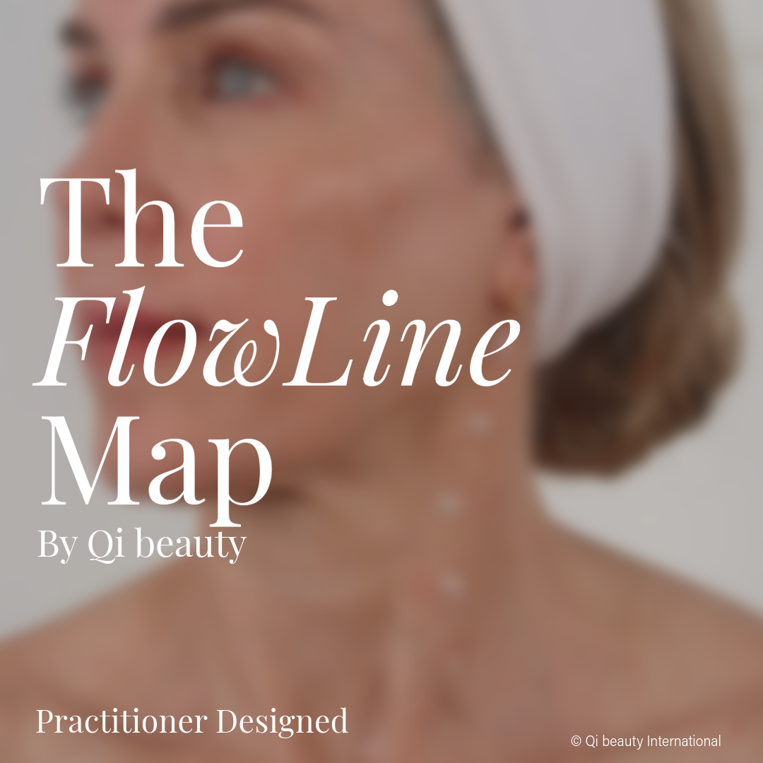 The FlowLine Map