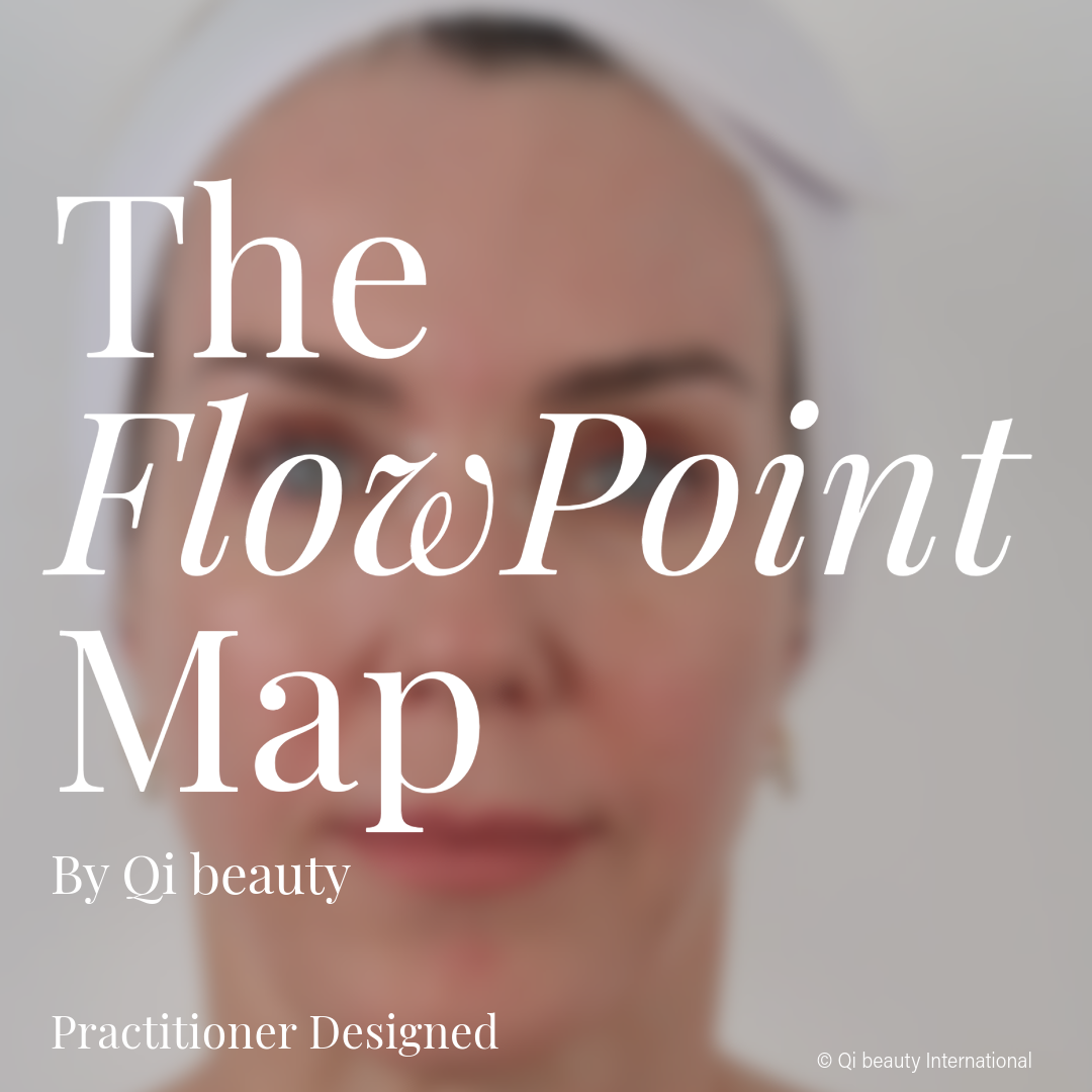 The FlowPoint Map