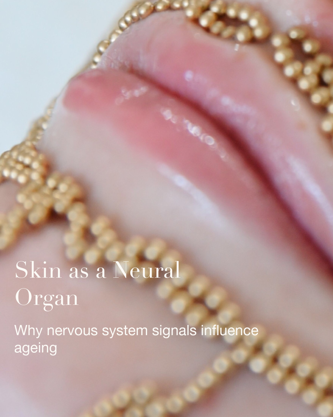 Skin as a Neural Organ – Qi beauty International